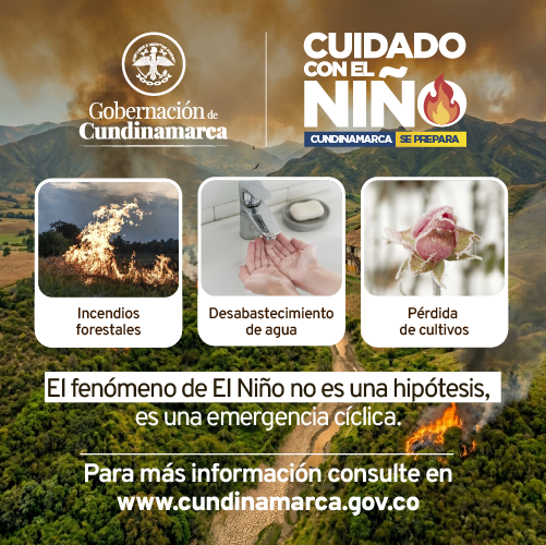 En La Mira Donde Todo Es Noticia 
